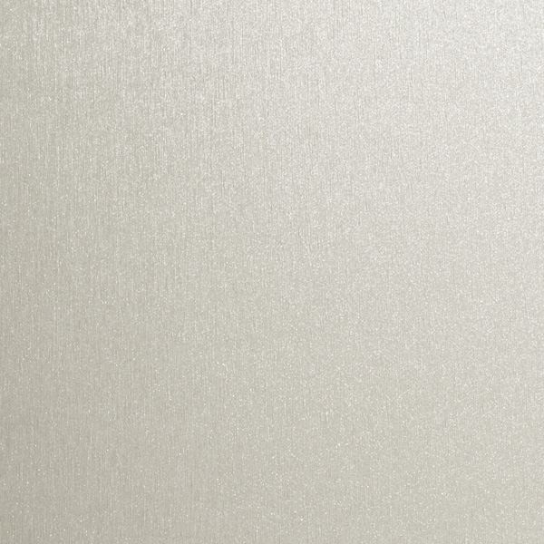 Gmund 925 - Light Silver (1-sided) - 310 g/m² - A4