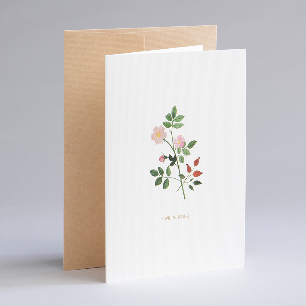 Greeting card Botanicals - Wild Rose