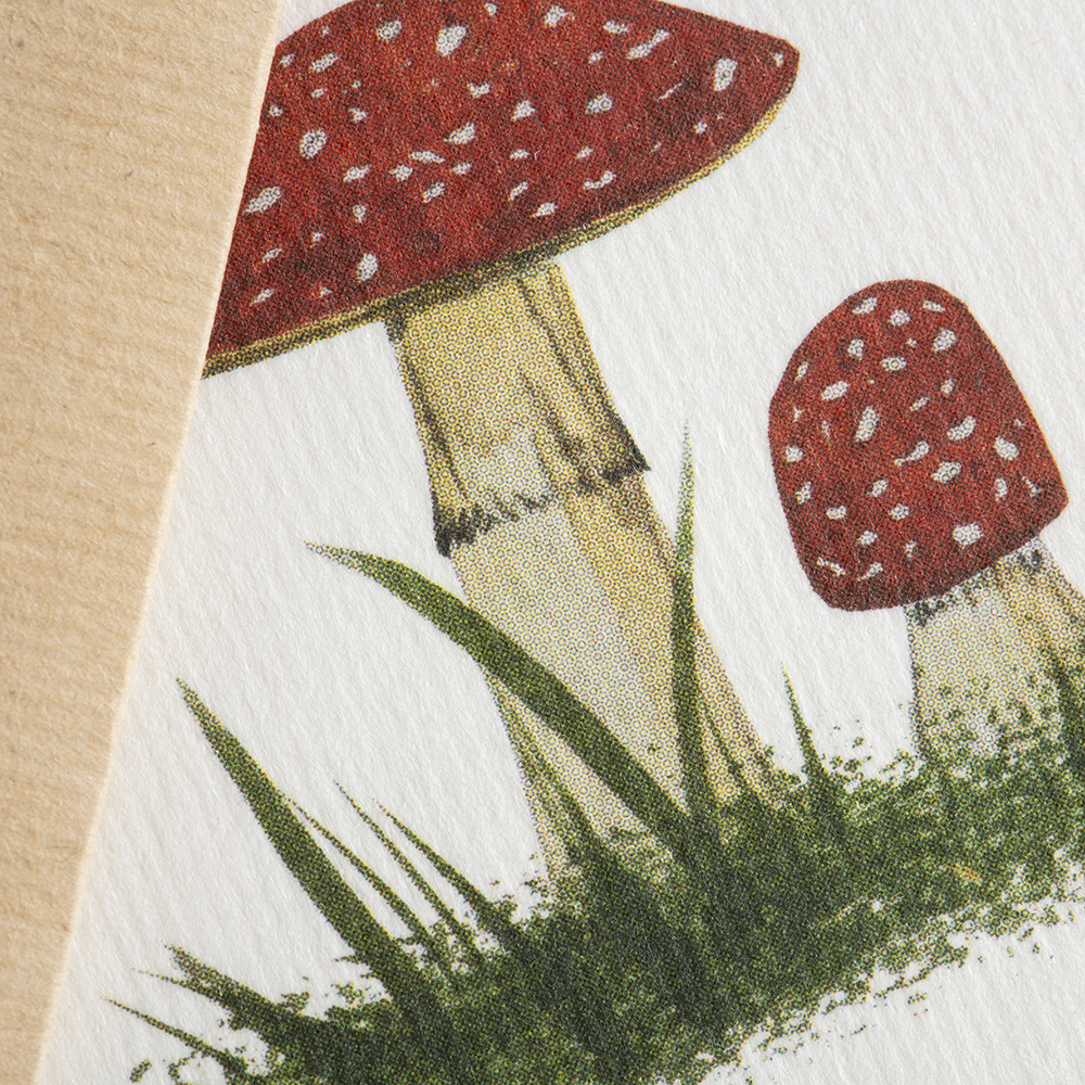 greeting card Botanicals - fly agaric mushroom