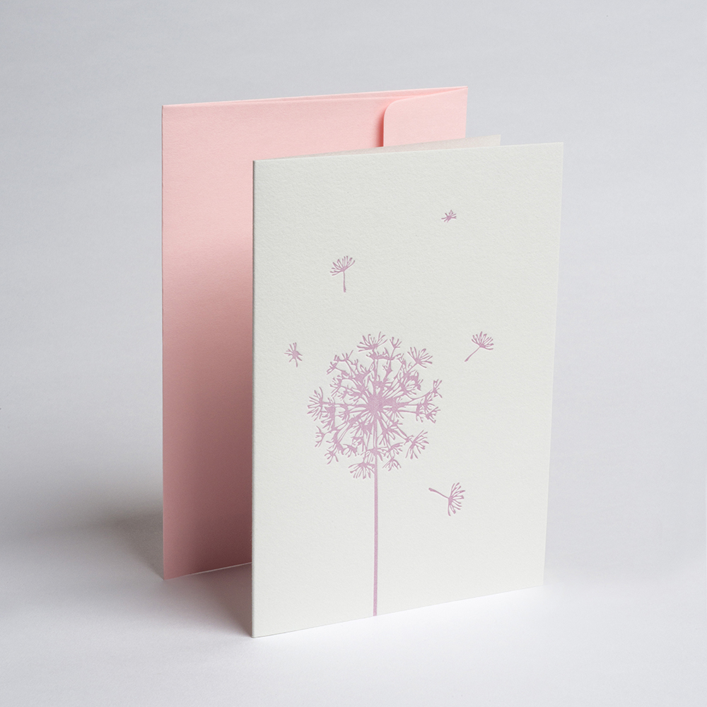 Greeting Card - dandelion - rosé