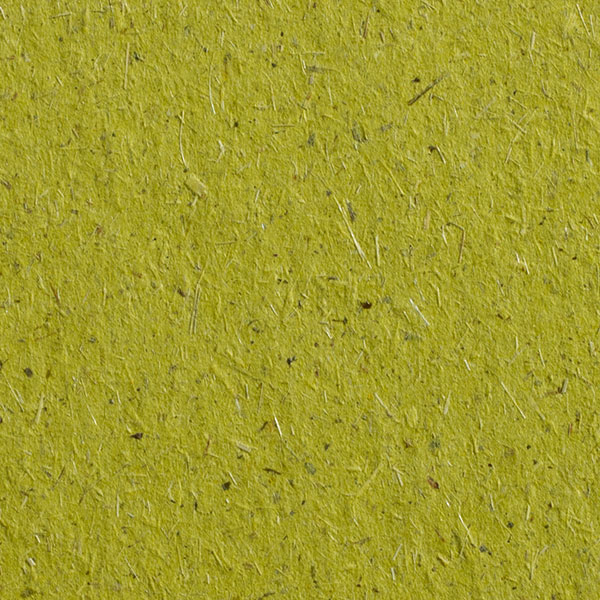 Gmund Bio Cycle - Chlorophyll - Blattgrün - 300 g/m² - 70.0 cm x 100.0 cm