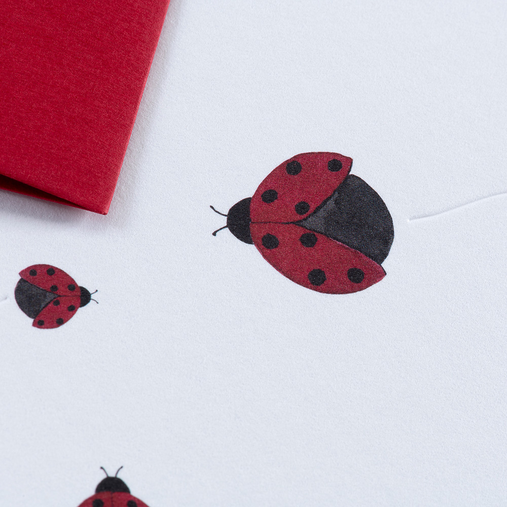 Greeting Card Traces at Lake Tegernsee - Ladybird