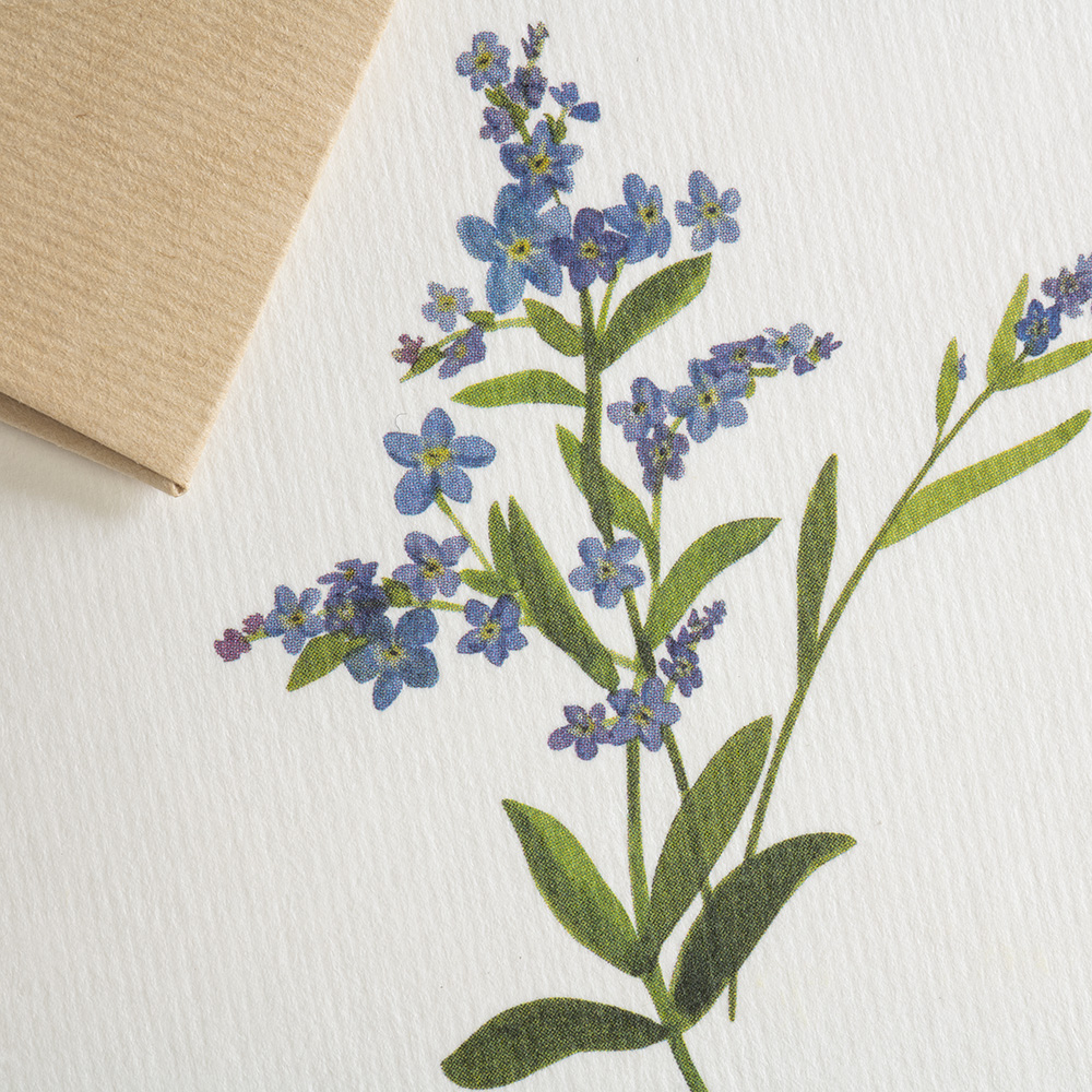 Greeting card Botanicals - forget-me-not