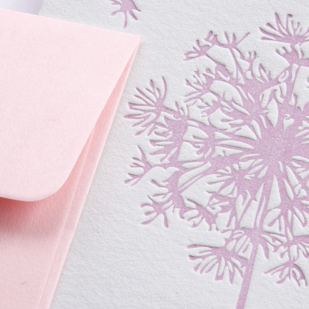 Greeting Card - dandelion - rosé