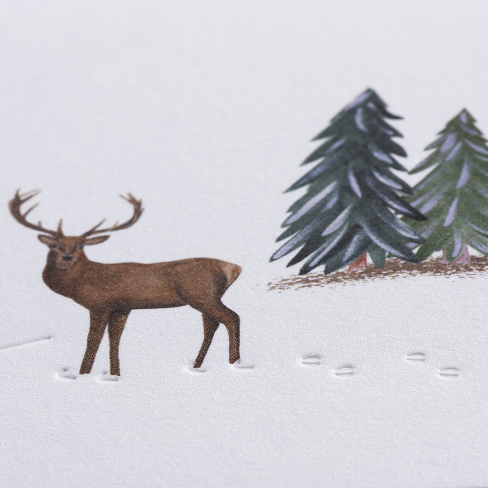 Winterkarte Spuren im Schnee - red deer