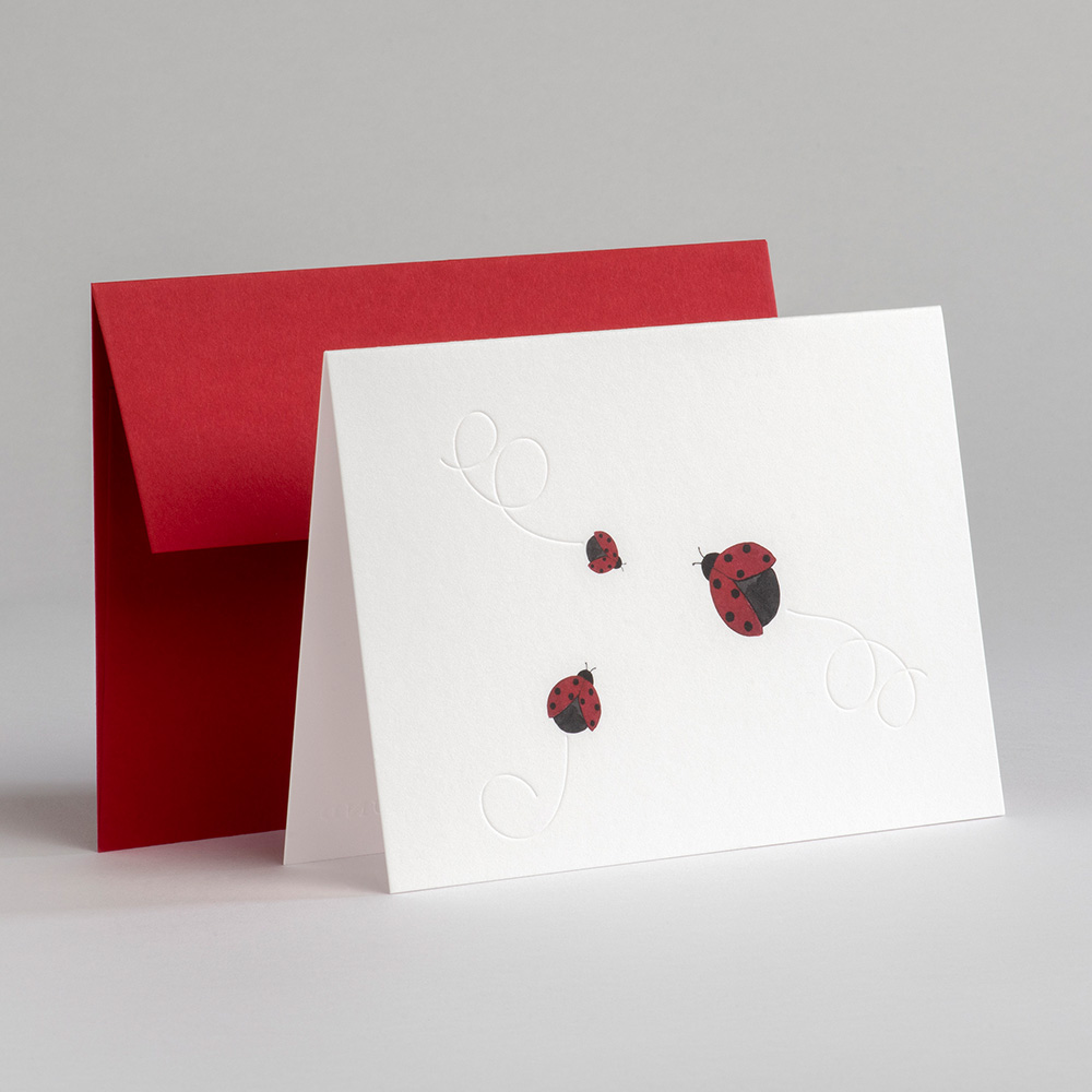 Greeting Card Traces at Lake Tegernsee - Ladybird